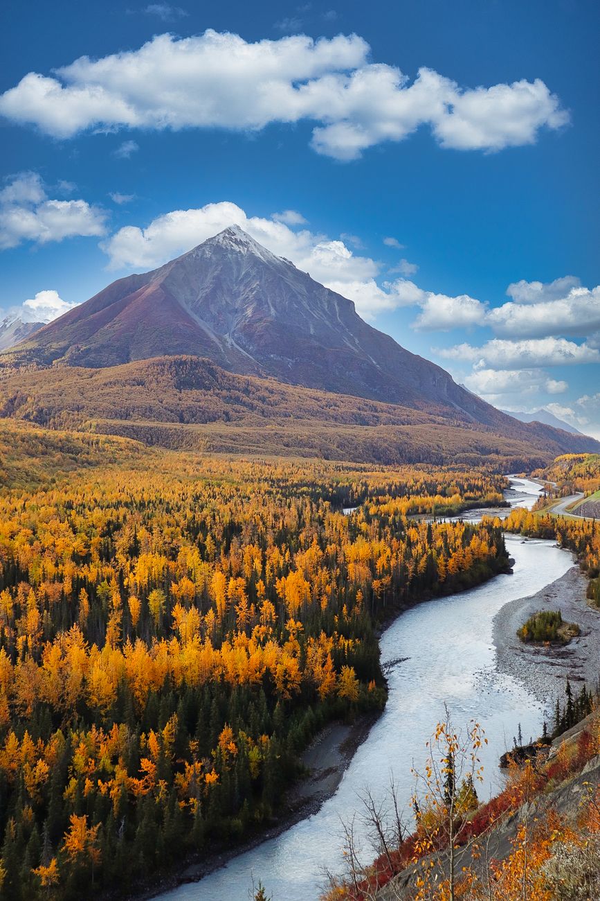 view of an autumnal forest river and a mountain in the background